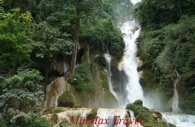 Khouang Si Waterfall Tour 